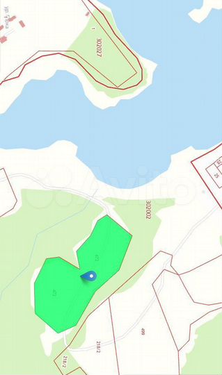 Участок 4,66 га (СНТ, ДНП)