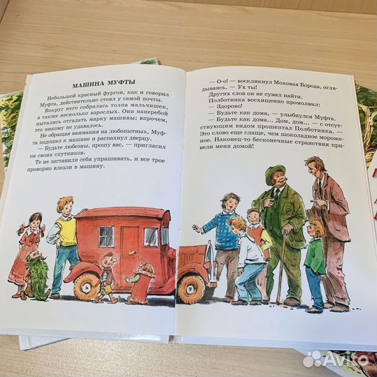 Муфта полботинка и моховая борода