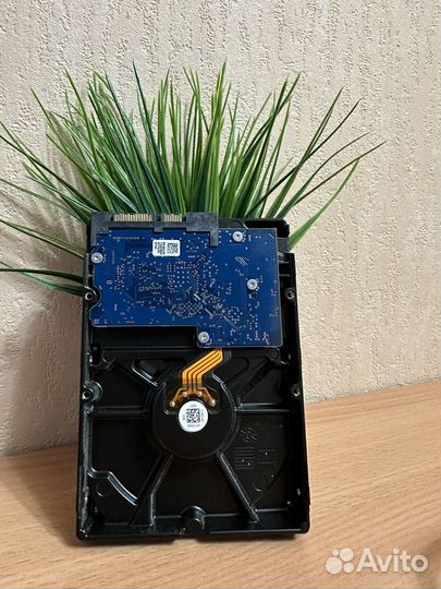 Жесткий диск 1 тб toshiba