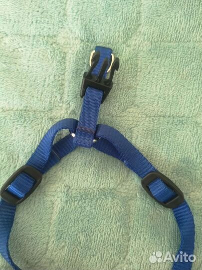 Шлейка для маленькой собаки