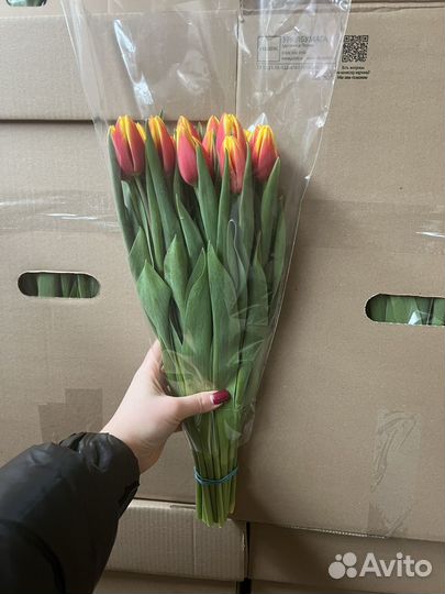 Тюльпаны опт розница корпоративные заказы