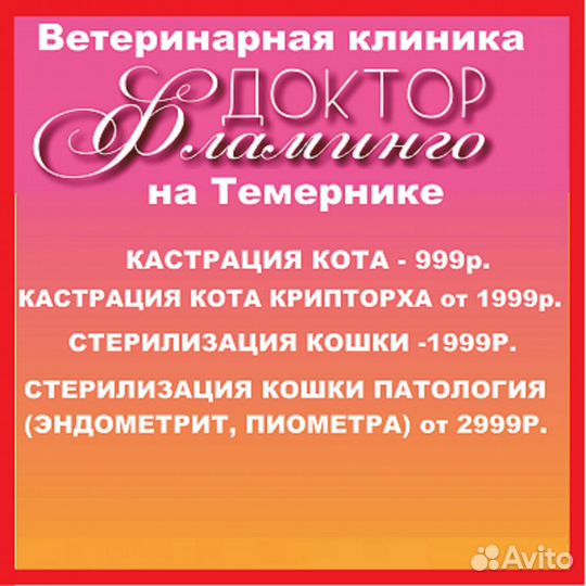 Стерилизация\кастрация кошек и собак