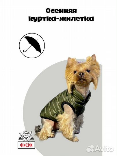 Одежда для собак