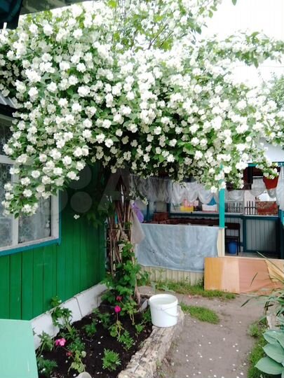 Дача 40 м² на участке 6 сот.