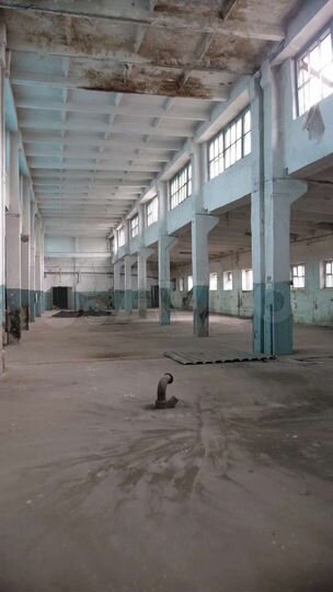 Свободного назначения, 1000 м²