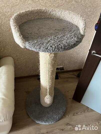 Когтеточка для кошек