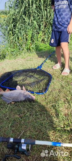 Рыбалка отдых рядом