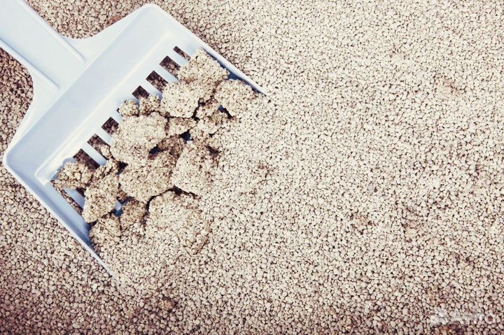 Наполнитель для тулета кошек