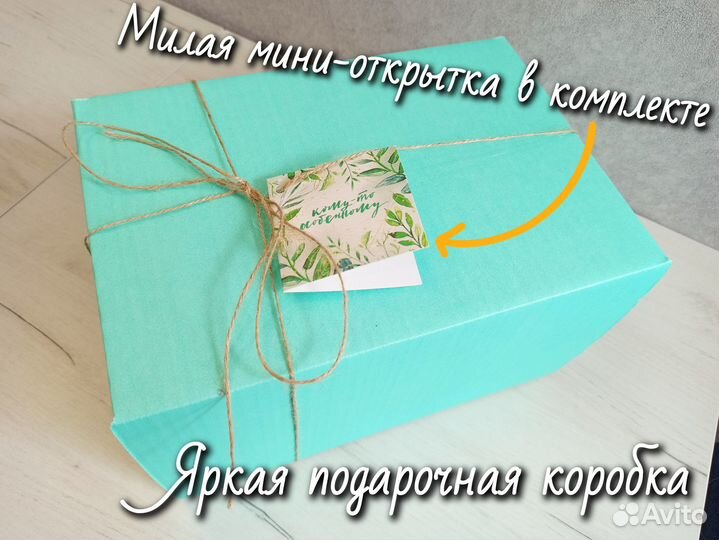 Живой подарок на заказ - флорариум