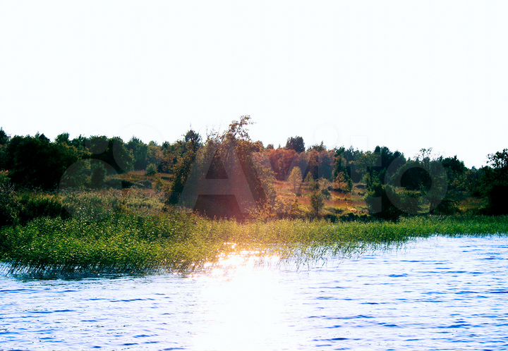 Участок 100 сот. (ИЖС)