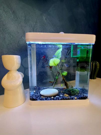 Квартира-студия, 30 м², 1/25 эт.