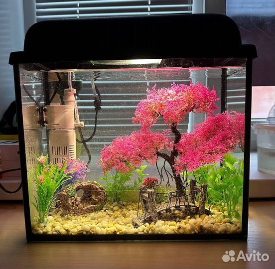 Аквариум