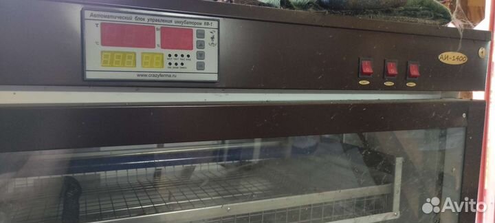 Инкубатор для яиц 