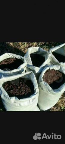 Конский перегной чернозём