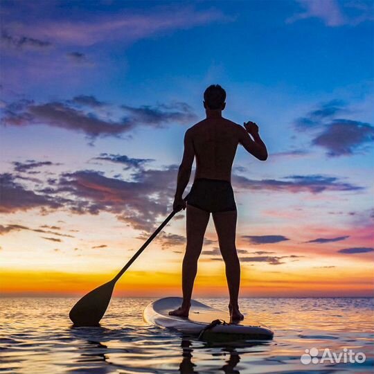 Sap борд прокат/аренда