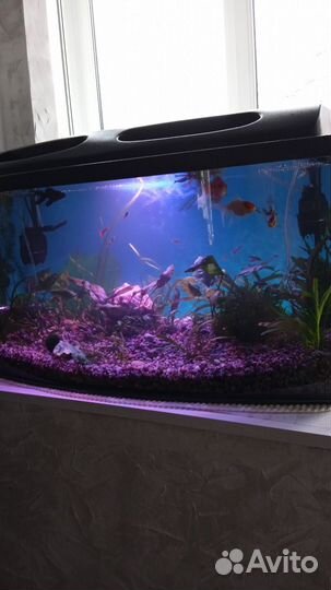 Аквариум круглый 20 литров.СССР