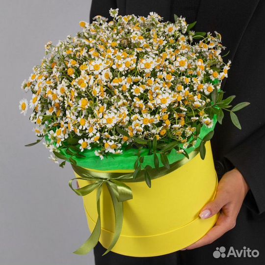 Букет ромашек доставка