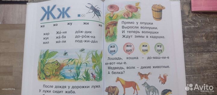 Азбука Павлова Н