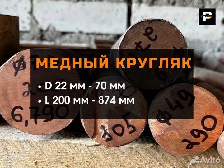 Медный кругляк