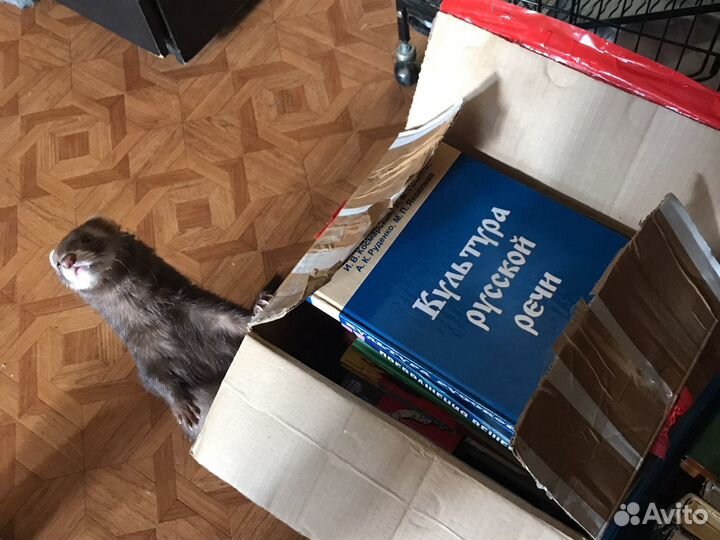 Книги разные редкие современные