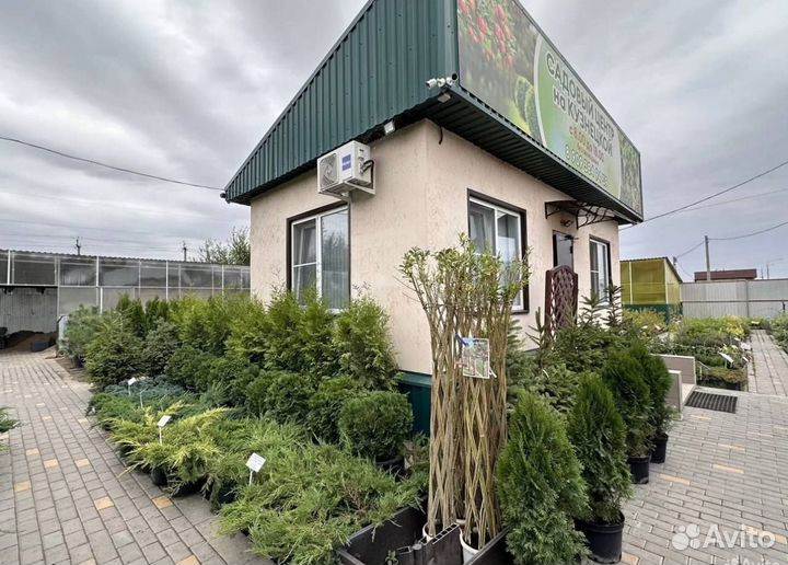 Питомник растений