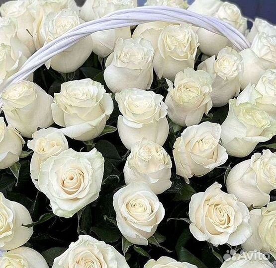 51 Роза, Букеты Цветы Розы 25 101 501 1001