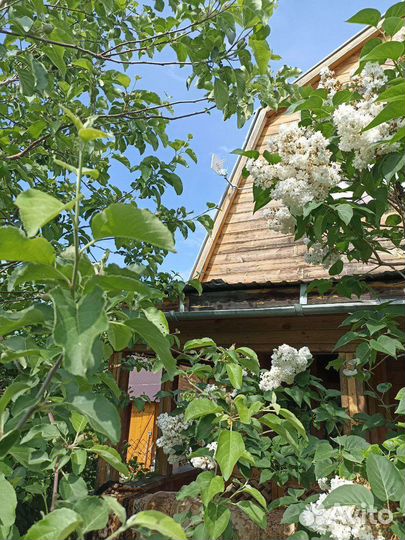 Интернет в частный дом, на дачу, на производстве