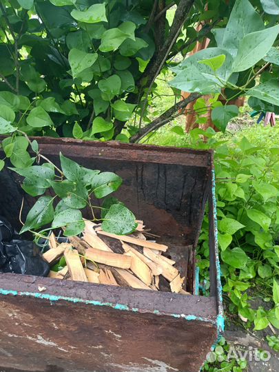 Печь для водяного отопления дома,в хорошем с/ ии