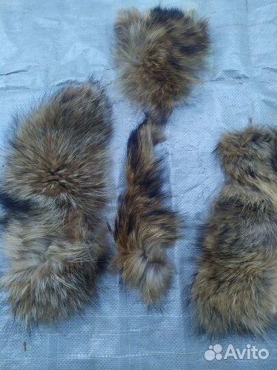 Обрезки меха енота