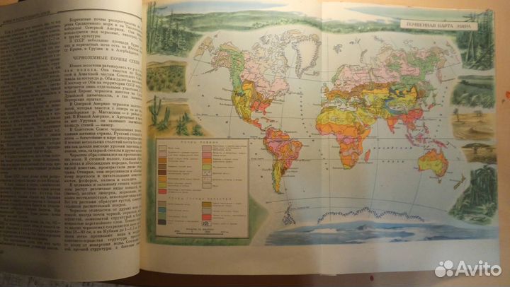 Детская энциклопедия