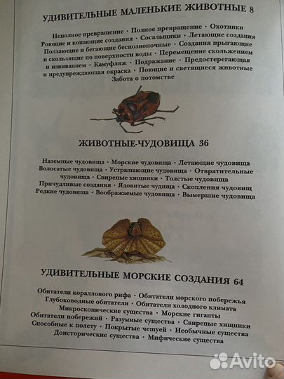 Детская энциклопедия