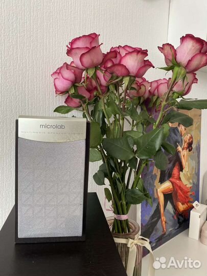 Компьютерная акустика Microlab M-890 2.1