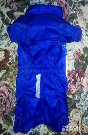 Дождевик для маленькой собаки