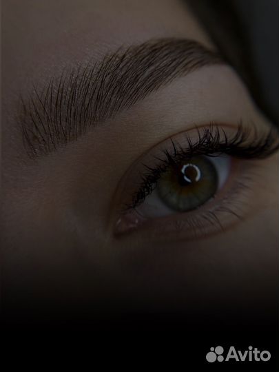 Мастер бровист