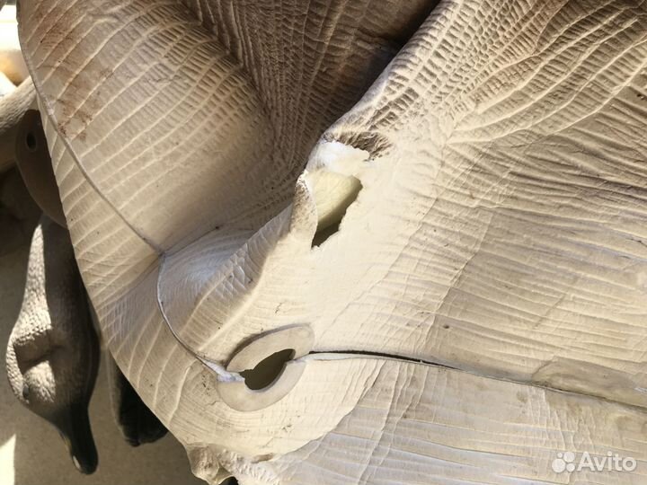 Чучела гусей надувные б/у для охоты