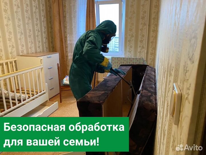 Уничтожение клопов тараканов Обработка от клещей