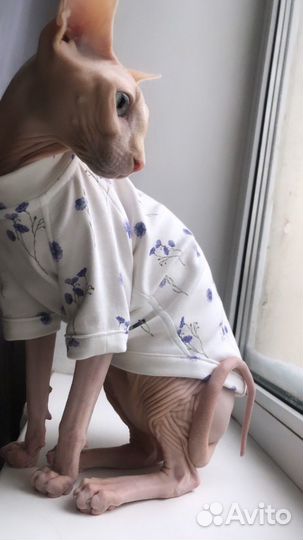 Выкройки одежды для животных / построение выкроек