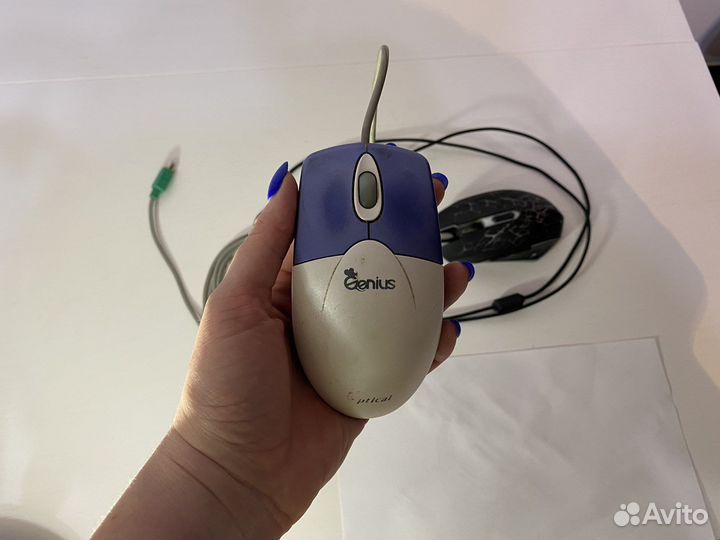 Мышь компьютерная