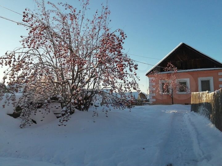 Дом 90 м² на участке 10 сот.