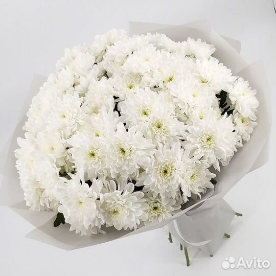 Букет из Хризантем. Цветы с Доставкой