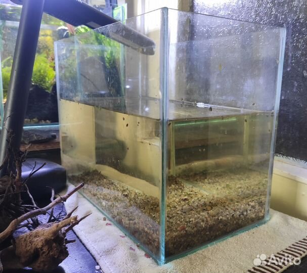 Аквариум аквариумы 5л, 10л