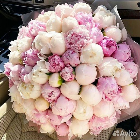 Пионы Букет Пионов с Доставкой