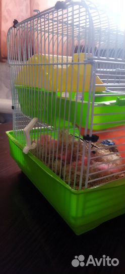 Клетка для грызунов