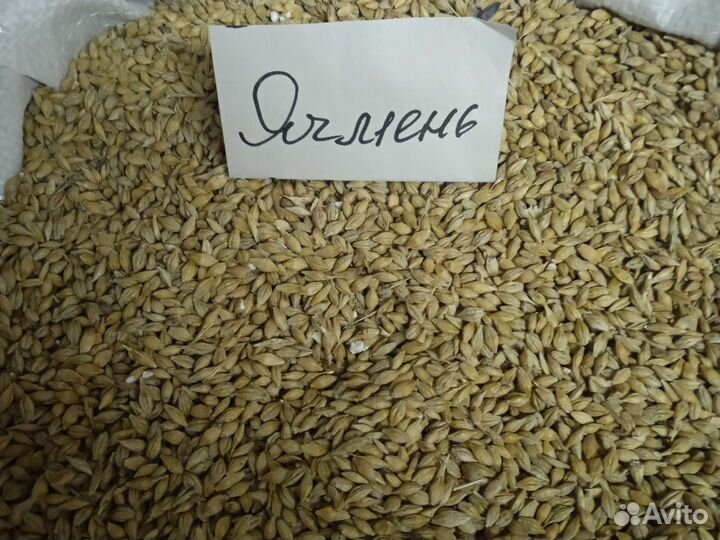 Комбикорм-зерно-крупы