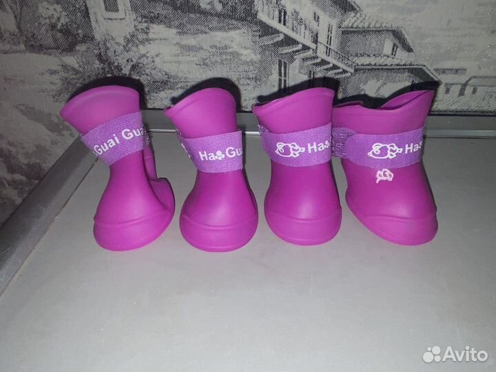 Сапожки для собак