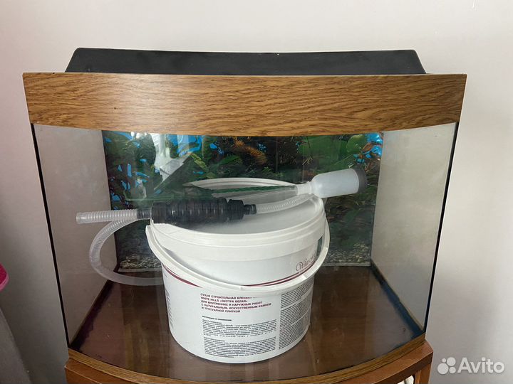 Аквариум