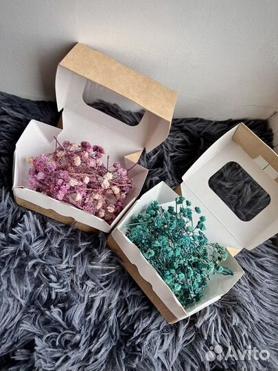 Набор сухоцветов
