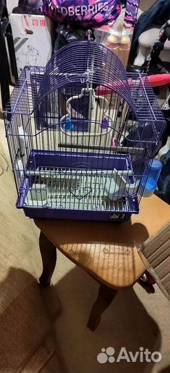 Клетка для волнистого попугая