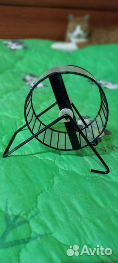 Для хомячка