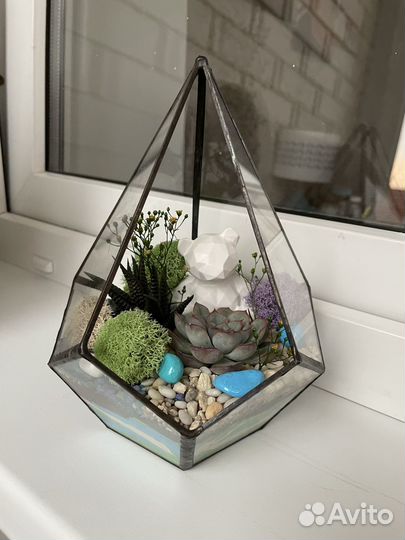 Флорариум с мишкой